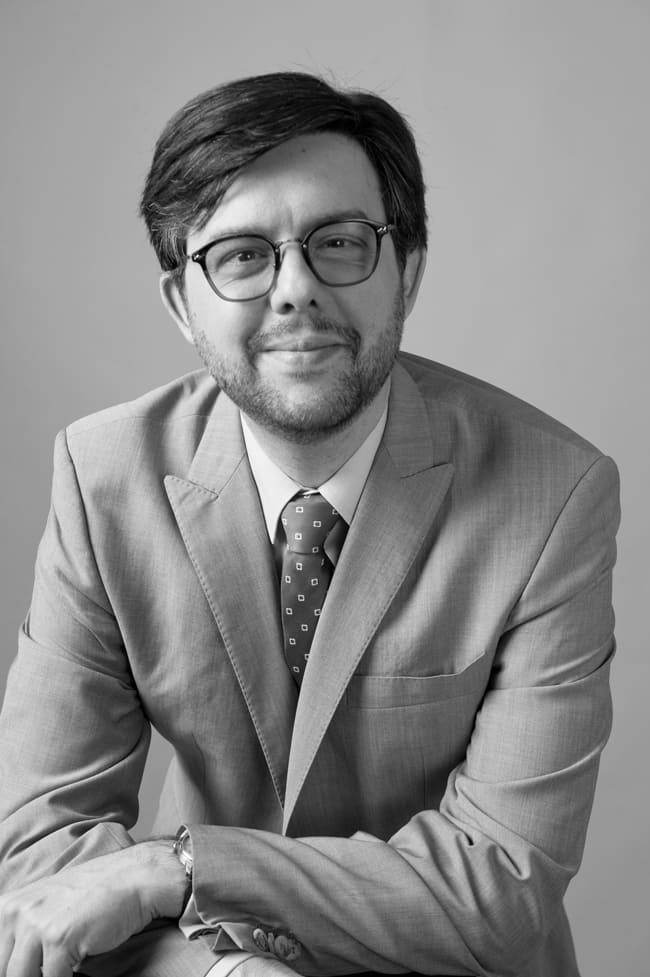 Julien Dubarry - Consultant